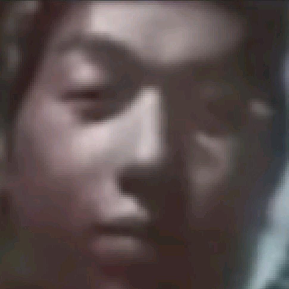 野狗帮
