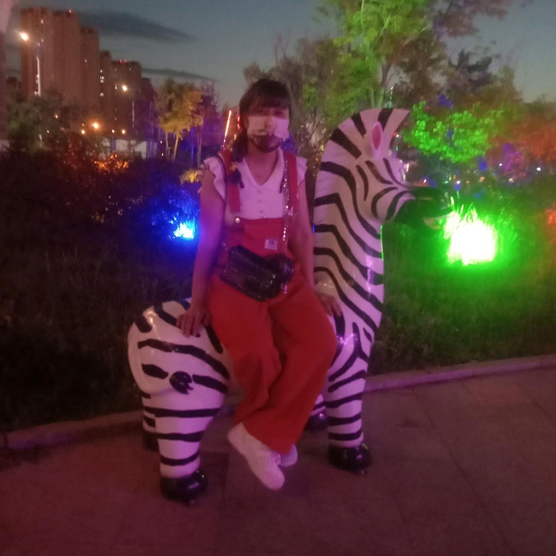 王子杨丽