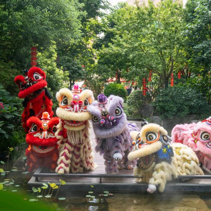 山西河津精英功夫舞狮团