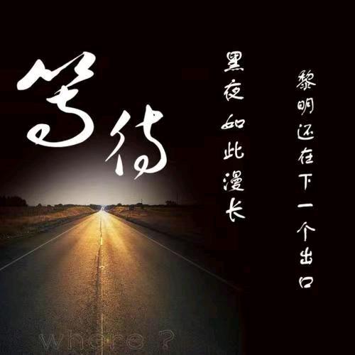 飞翔的雄鹰
