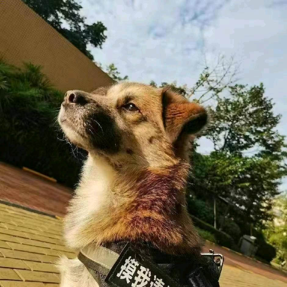 知寓万家/成都租房帮粉丝全成都就近找房
