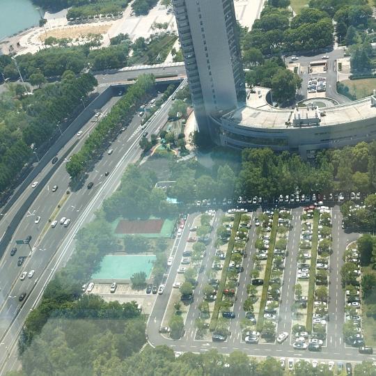 《豹哥》重生号