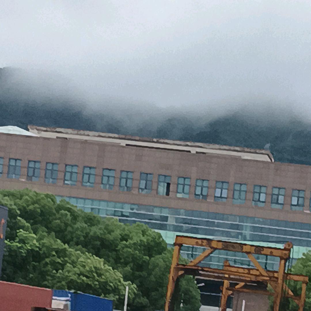 崔