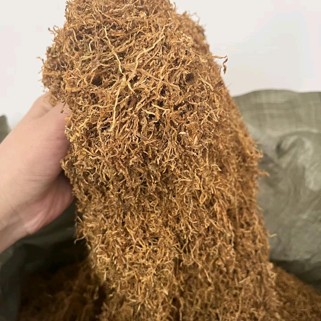 云南曲靖农村小妹