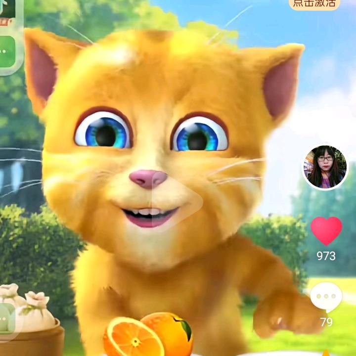 金杰猫