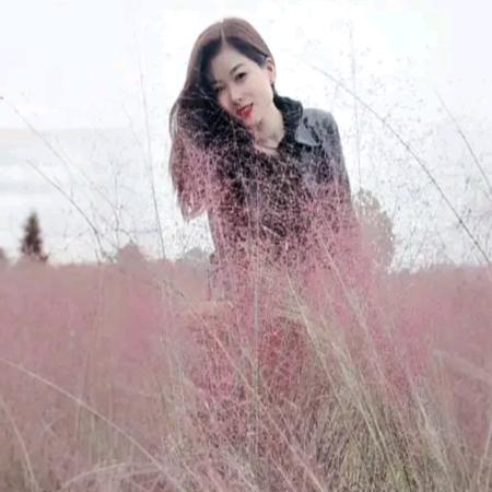 💞梅姐