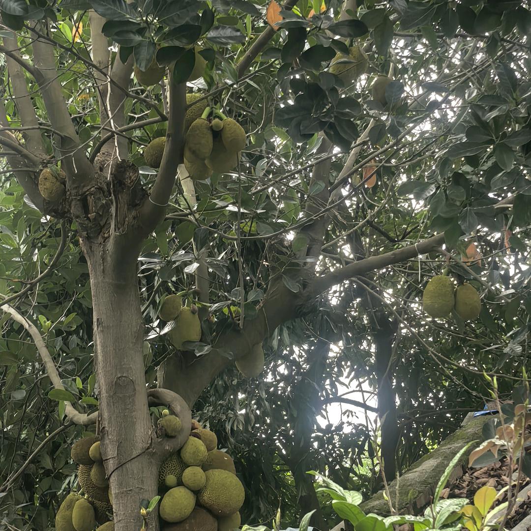 重庆苏苏【雯雯纸业】广东江门仓