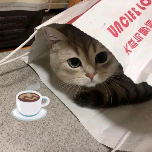 凉茶不加蔗