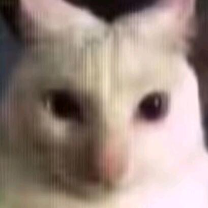 荼