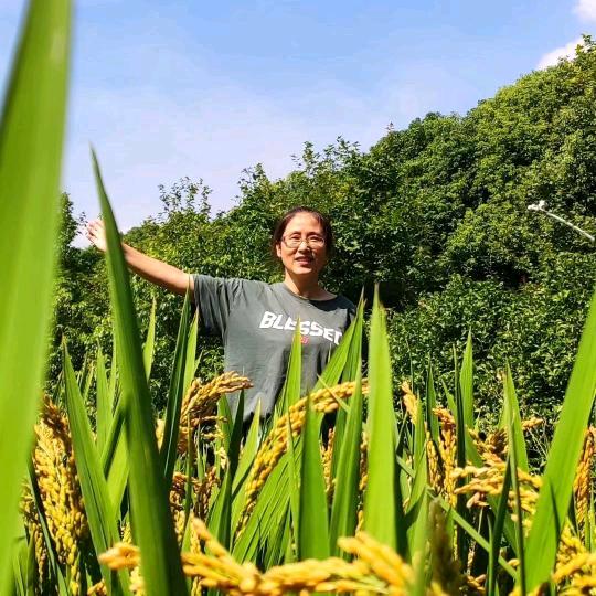 花美丽