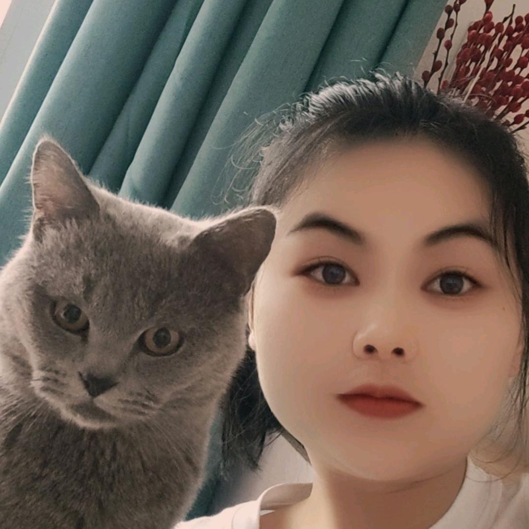 高高在上的猫🐱