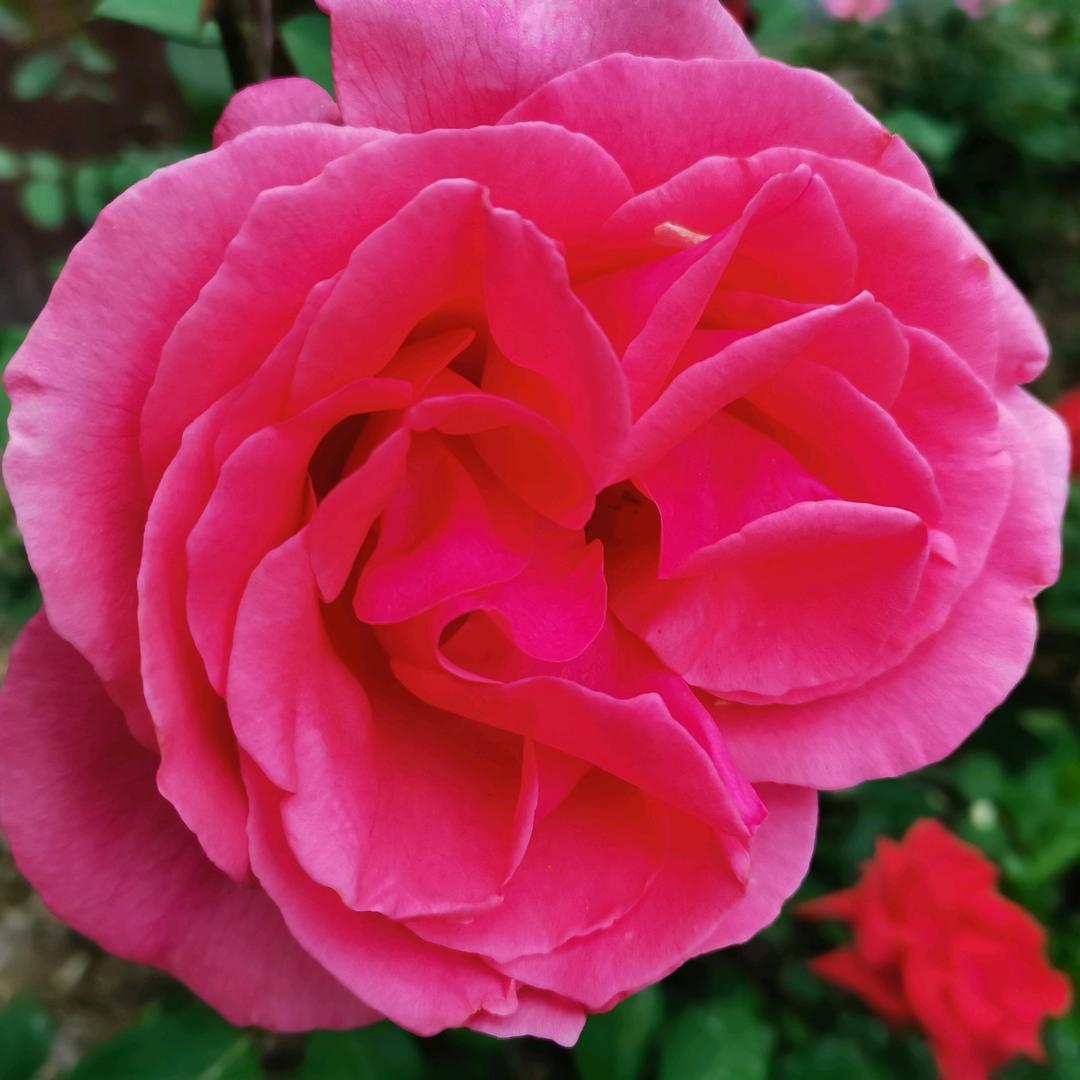 🧑‍🦰🧑‍🦰