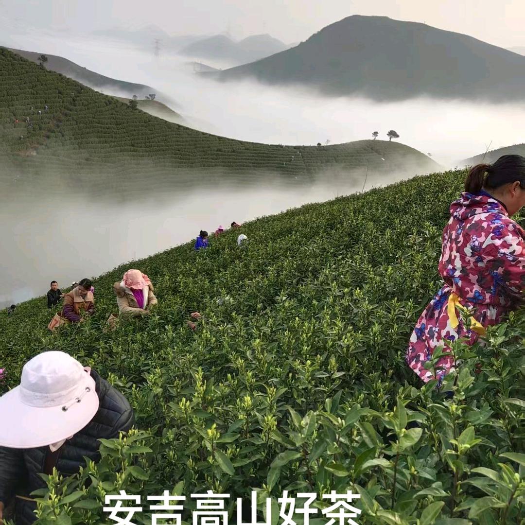 阳光追梦人