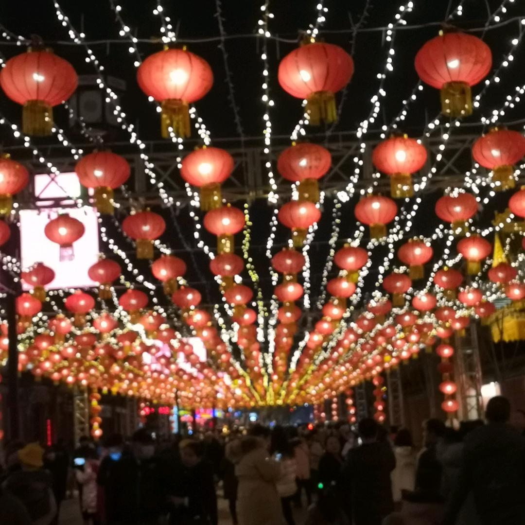 飞驰的马儿