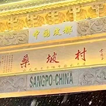 桑坡不凡女鞋