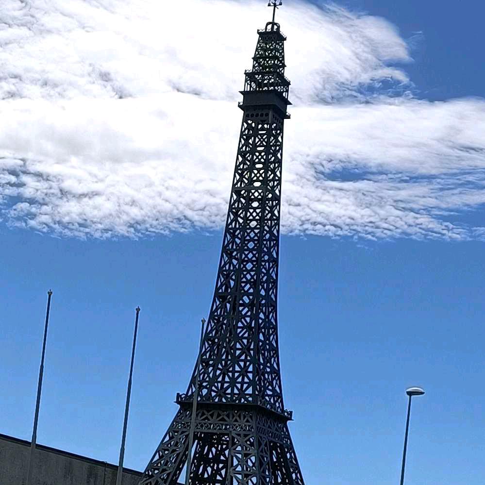 大鹏展翅鹏程万里