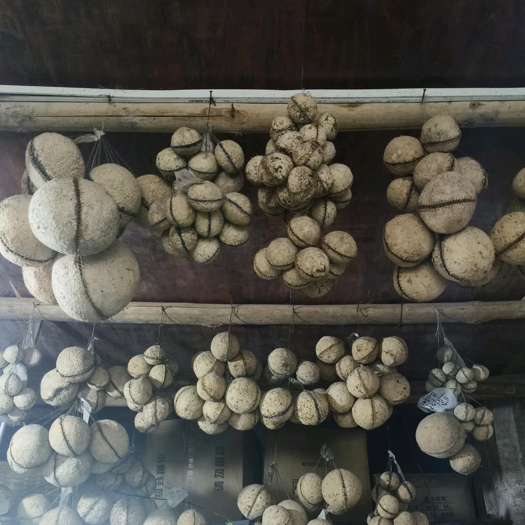 专业卖果合茶