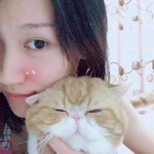 圆圆的脸