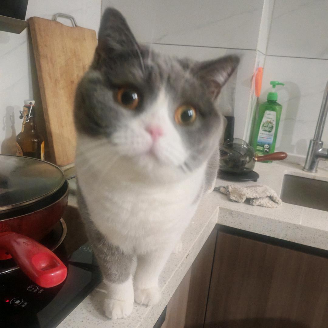 那可真