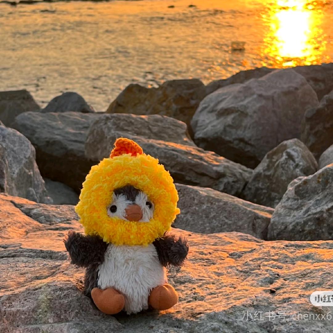 吸一口太阳布丁