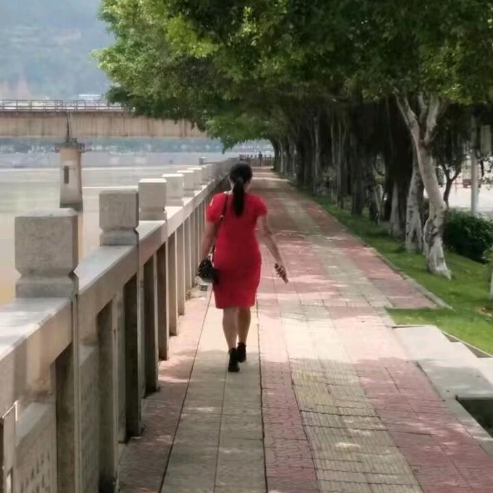 💝踏⺕寻梅💝