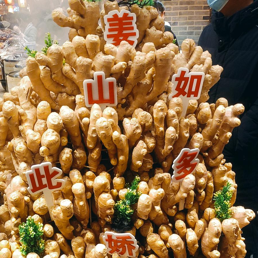 人在旅途