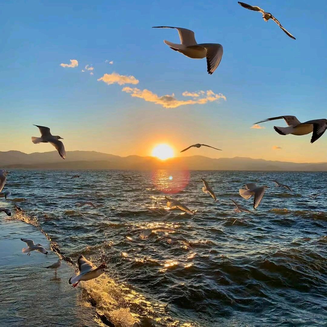 鼎英带你一起运动