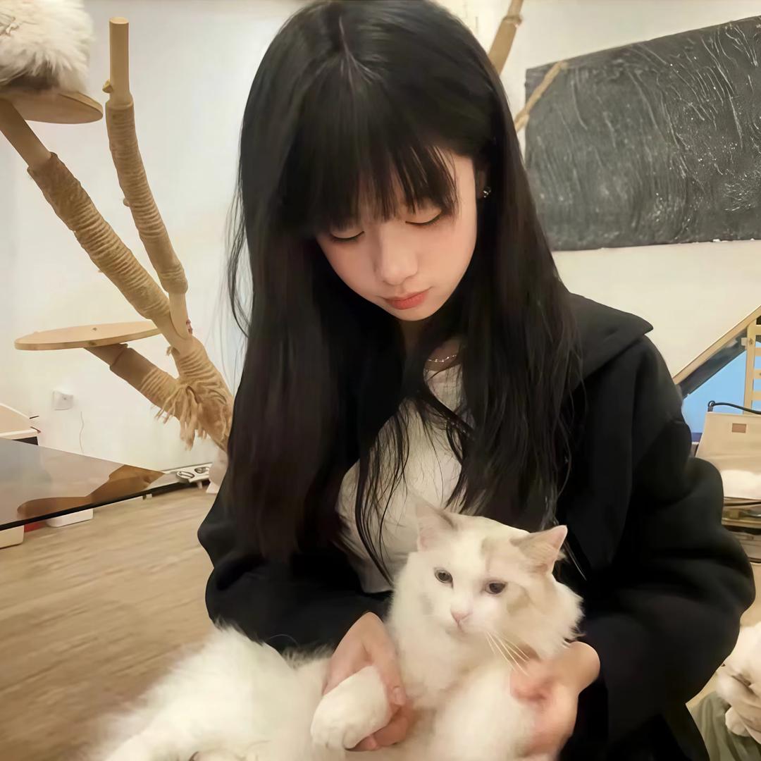 土豆粉大王