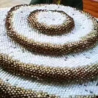 贵州野生菌，蜂蛹专业户（忘川楼主）！