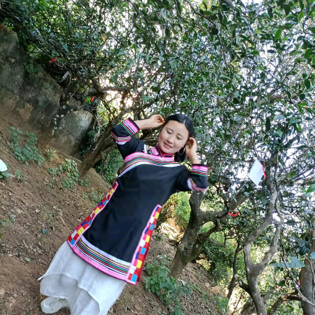 小户赛阿叒滇拉祜茶农31號