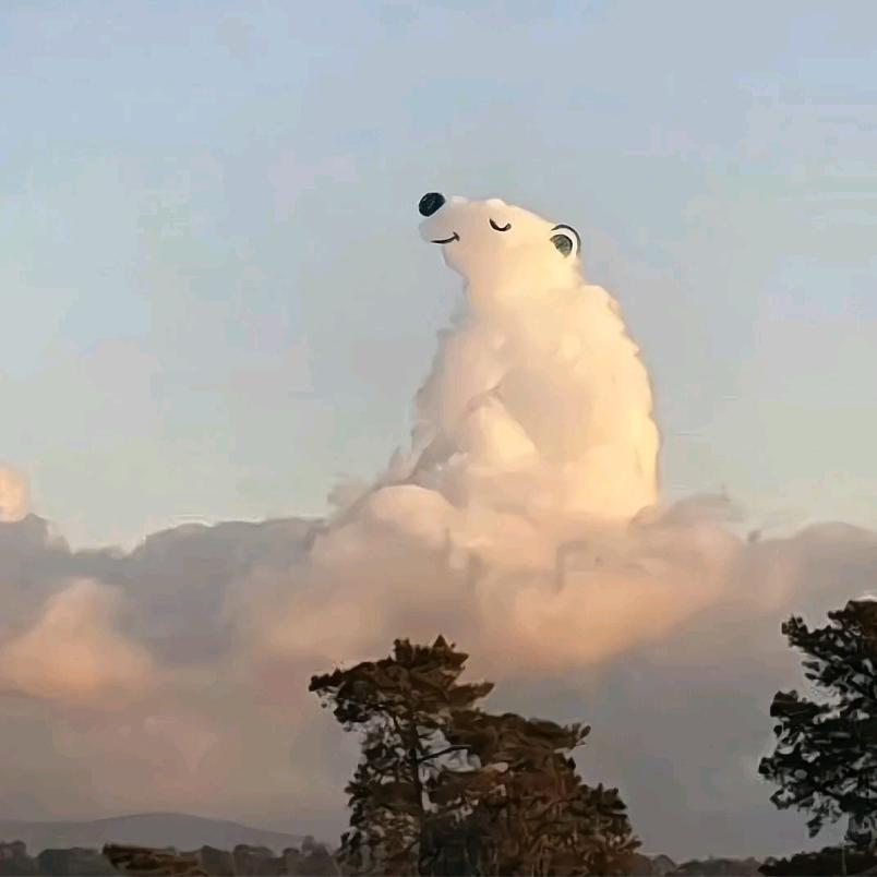 茕茕很真诚