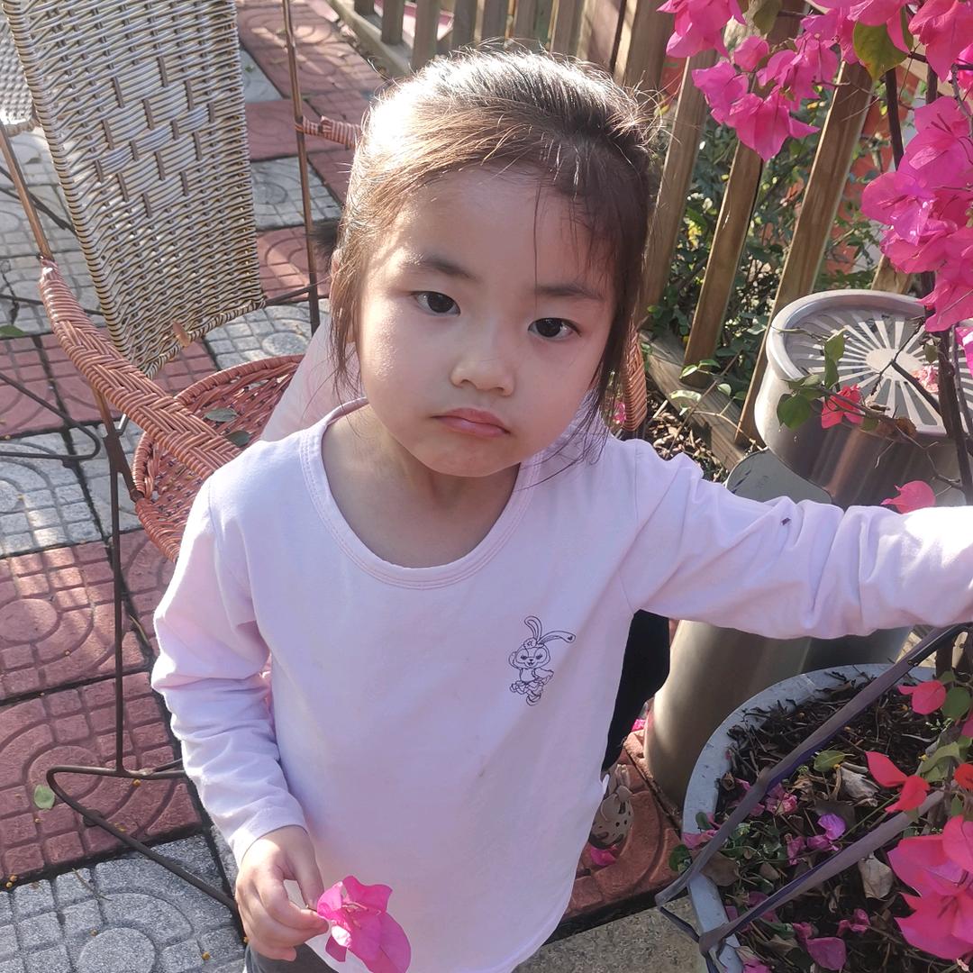安妮