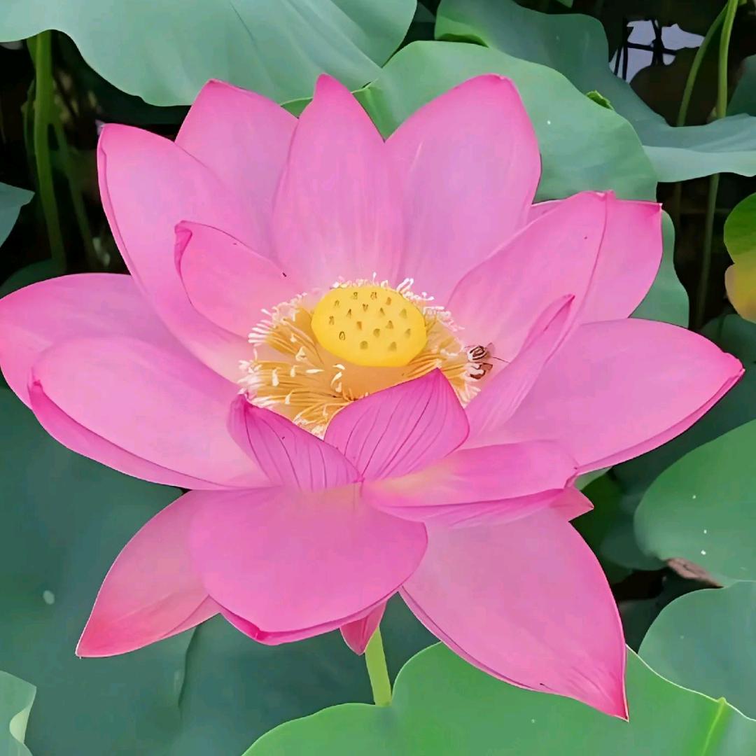 广州淞恬百货优品小铺