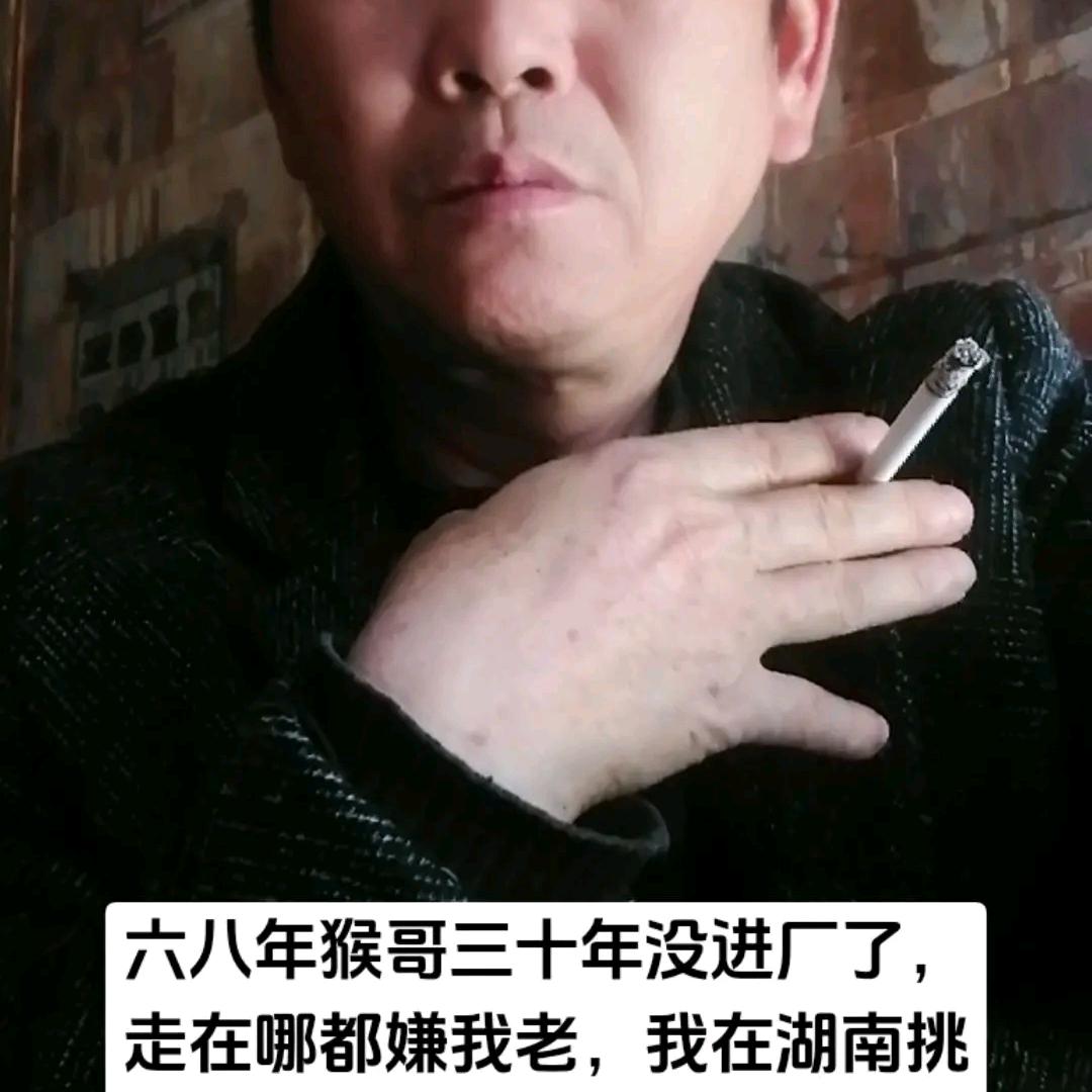 精精猴