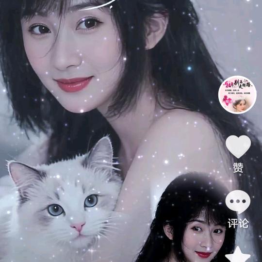 老猫🐱