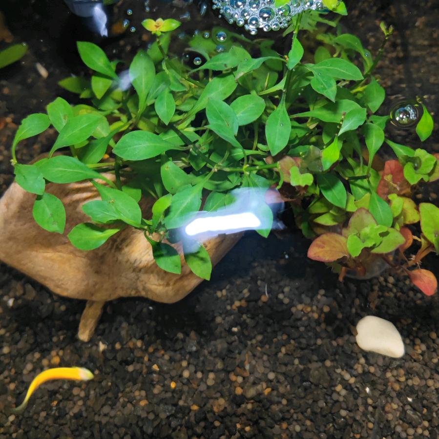 不忘初心，只若初见！