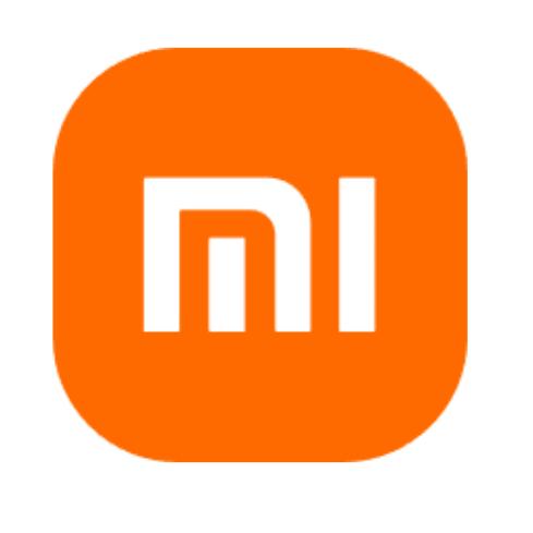 在小米上班的天选打工人