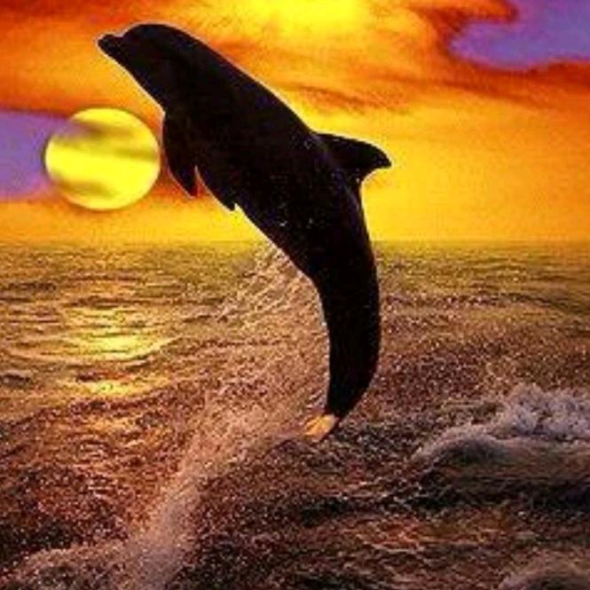 用户5650019017871一如既往