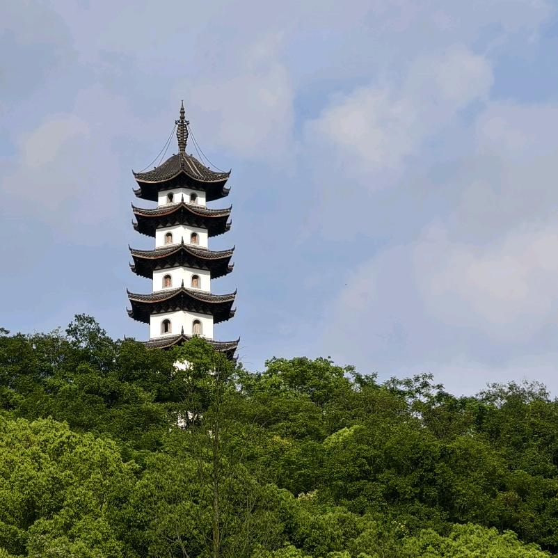 ZNL.小白白