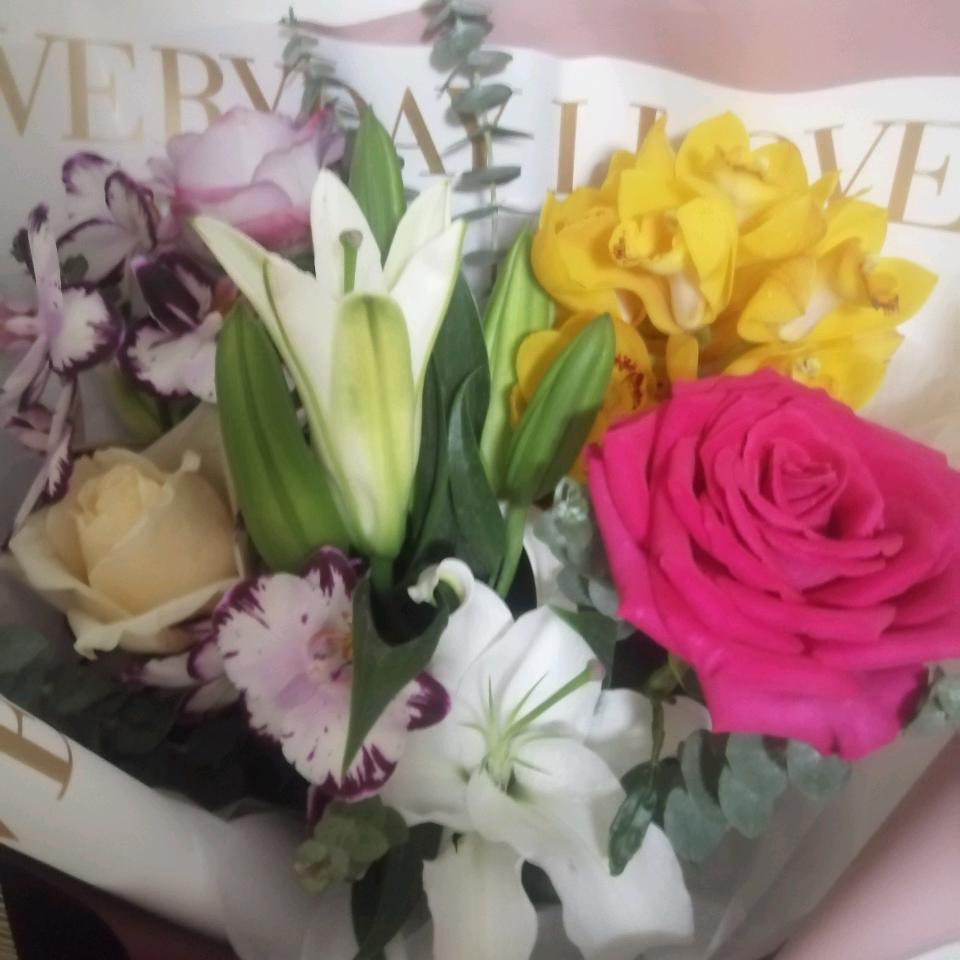 人生就像一场旅行