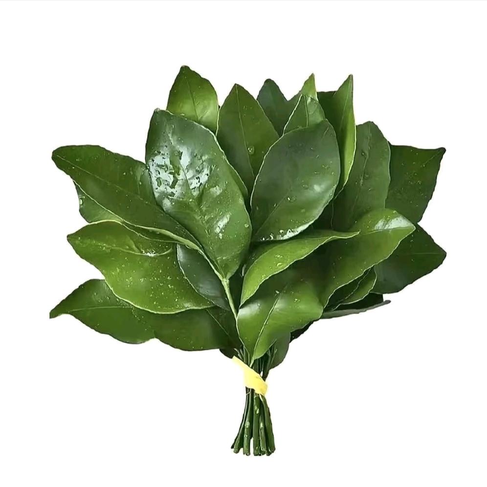 锦鲤