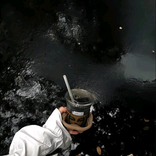 岁岁文案