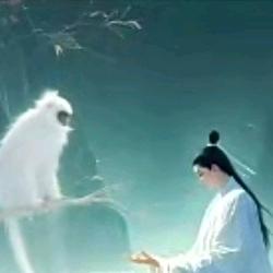 莫挨@哥(lx)