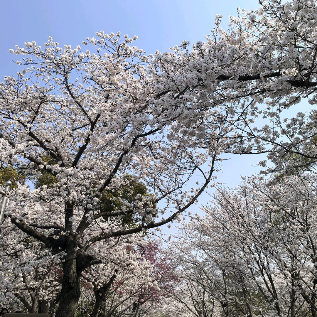 泰州阿兵直播间