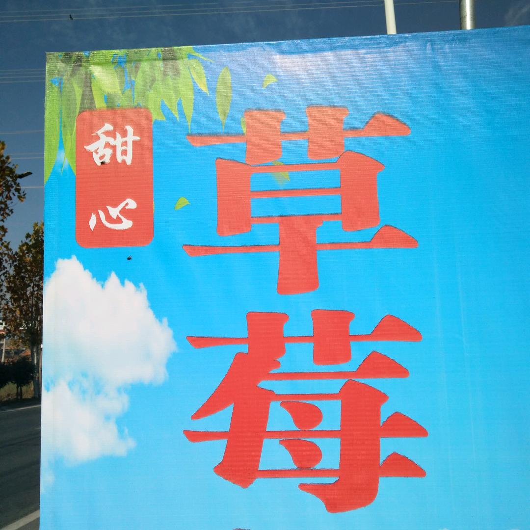 正阳县甜心草莓园