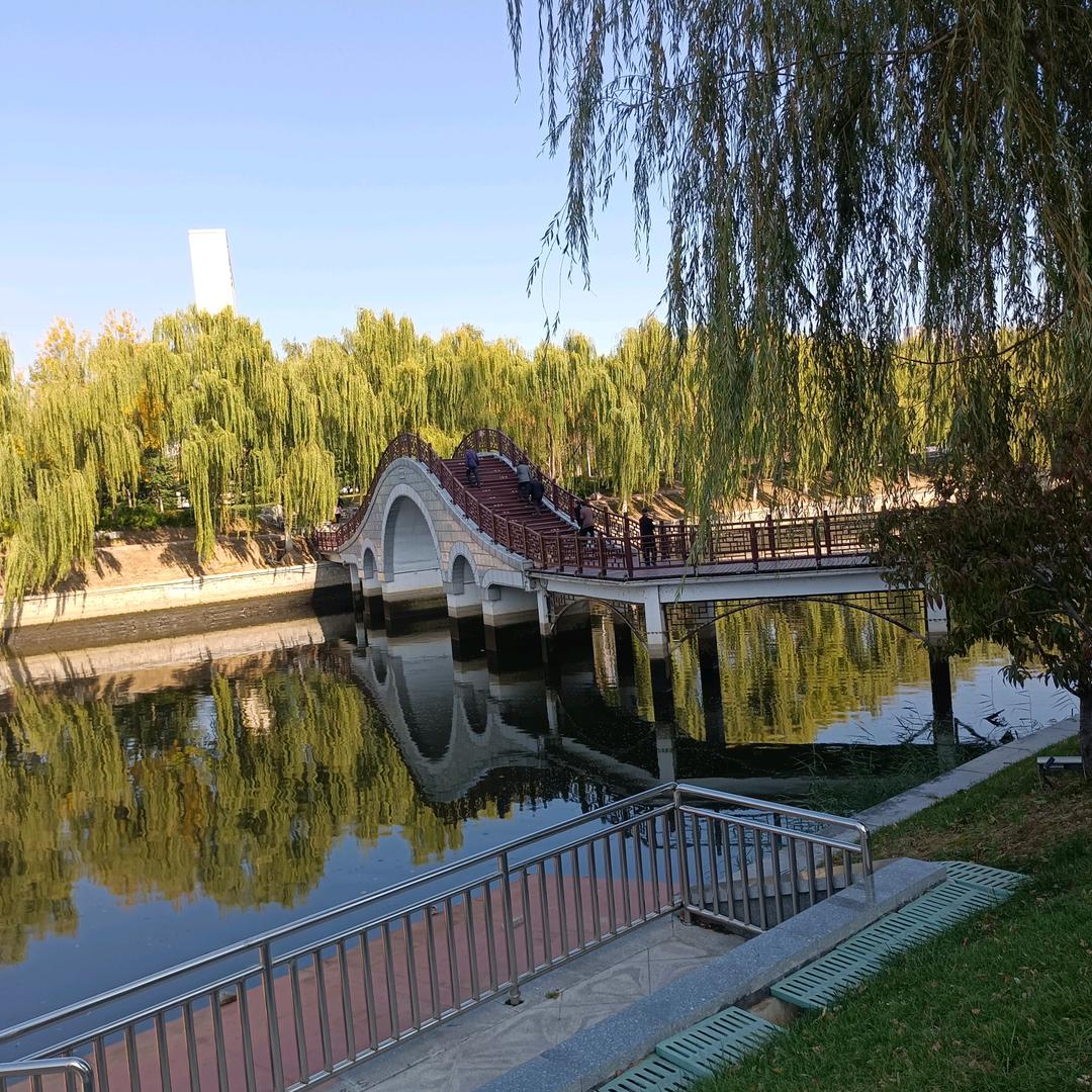 一滴相思泪❣️