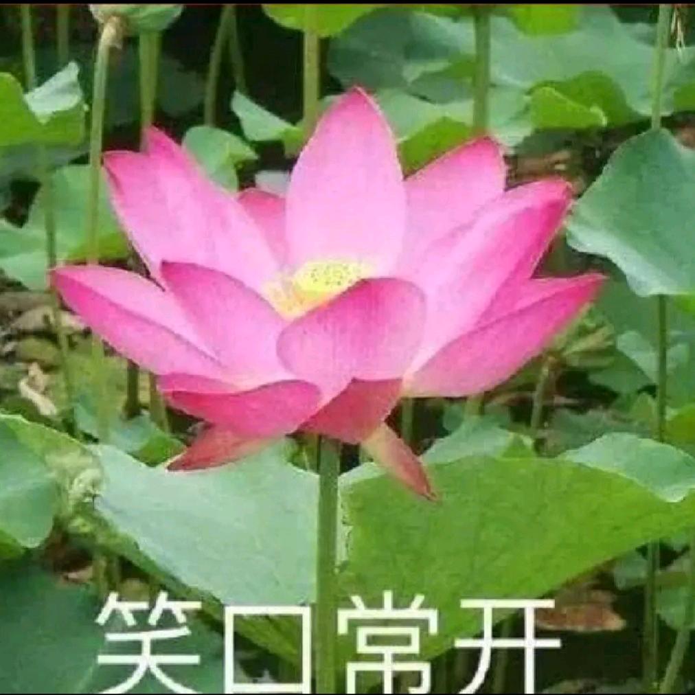 DCC国际仓