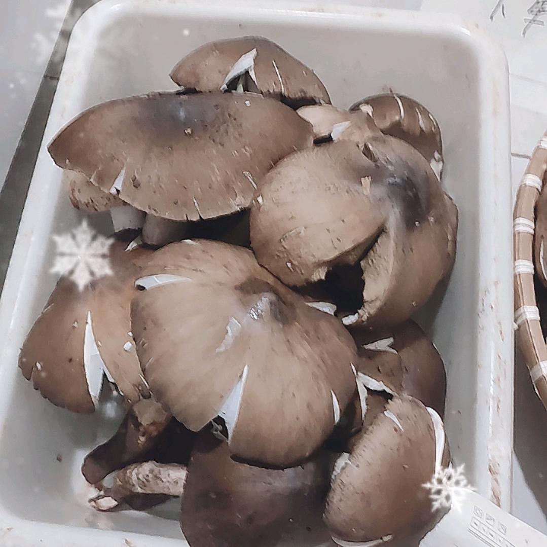 🌺野生菌斗鸡菇(鸡枞菌)