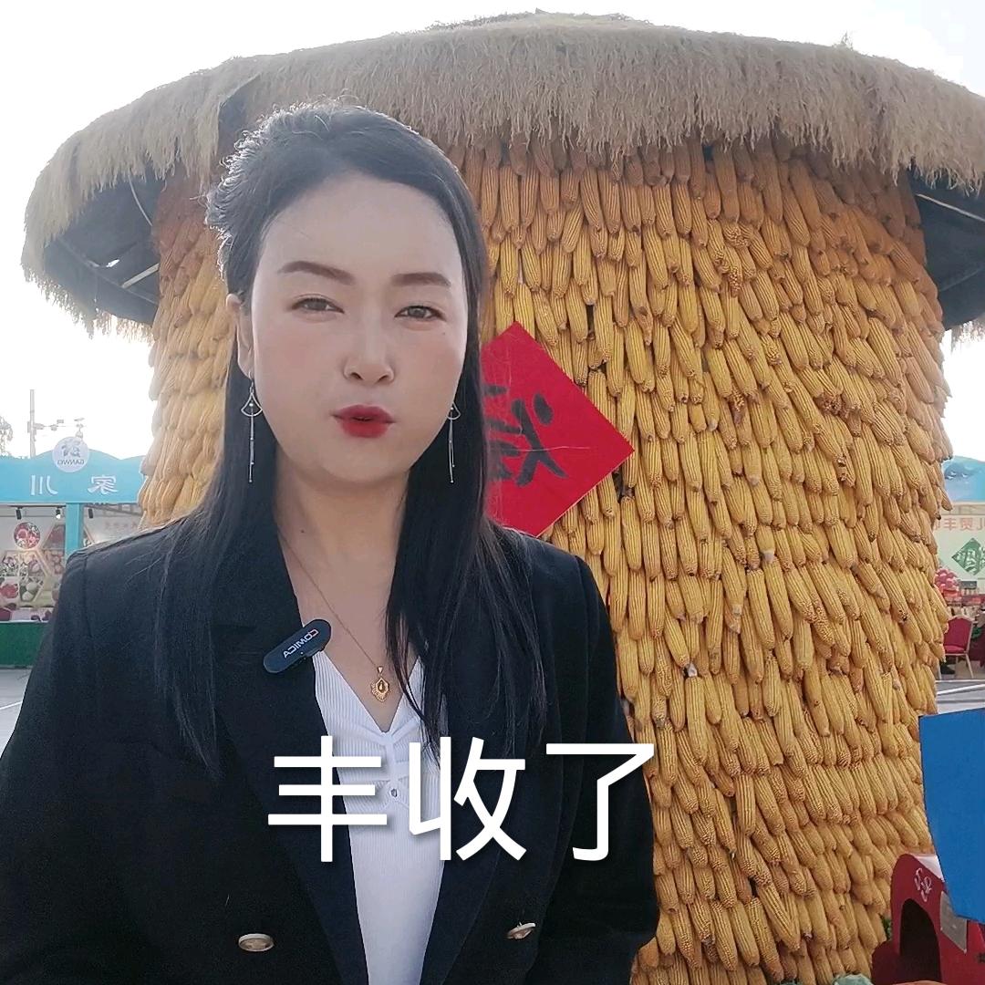 陇先缘 艾草工厂