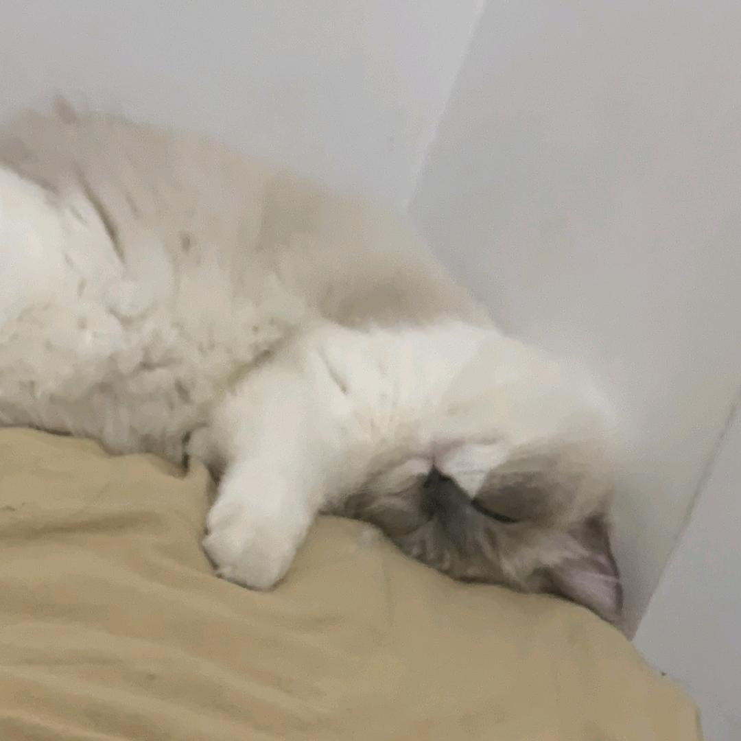 一鸣啊啊啊啊